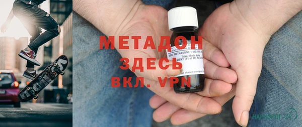 стаф Алзамай