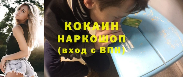 стаф Алзамай