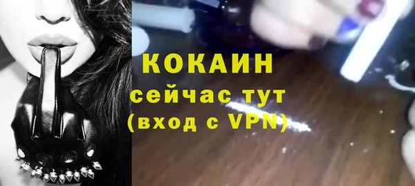 стаф Алзамай