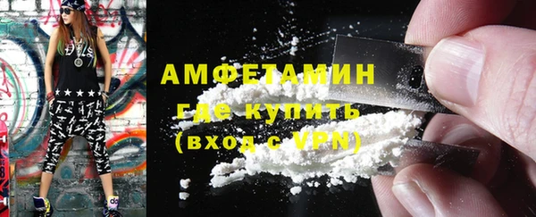 стаф Алзамай
